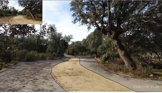 Entorno Escorial y CYII en el camino de las Eras