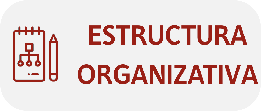 ESTRUCTURA ORGANIZATIVA