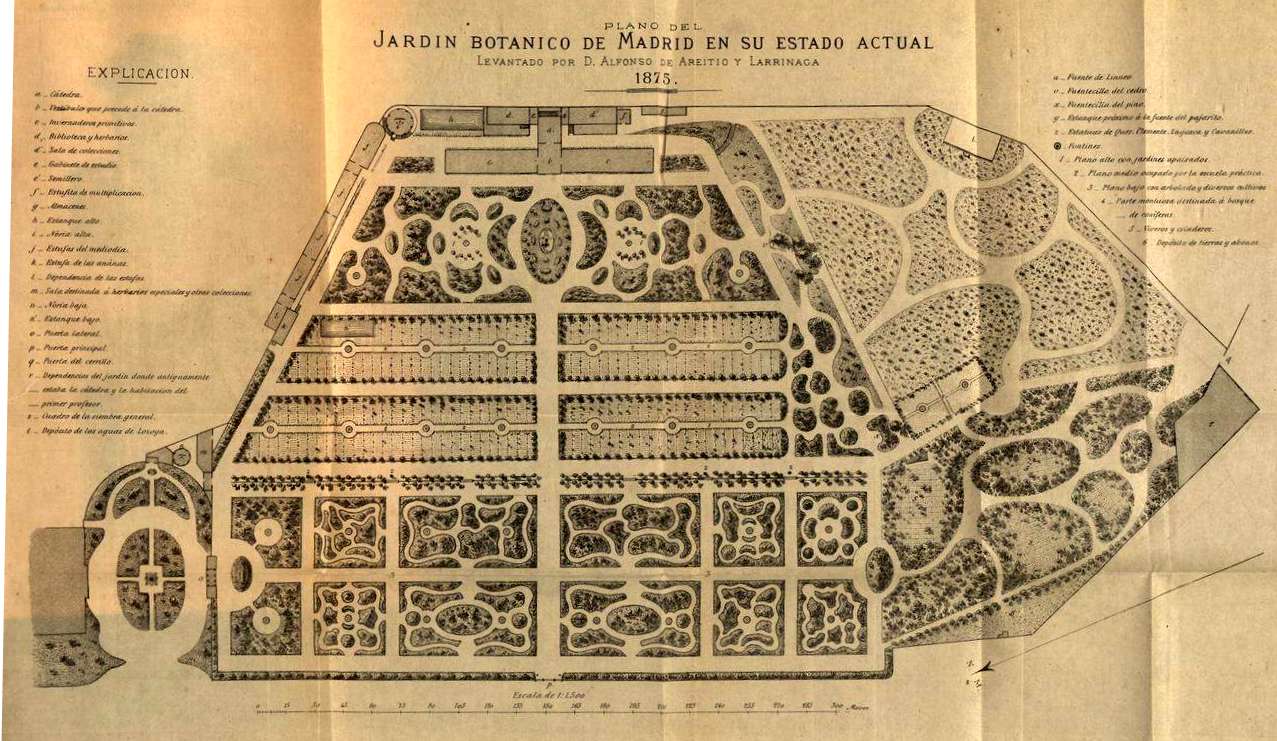 bosquejo_historico_y_estadistico_del_jardin_botanico_de_madrid2c_1875_5.jpg