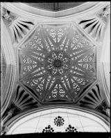00515_c_p.jpg