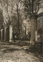 aga_f_04044_53683_001_01_jardin_botanico_1936._foto_kodak_-_copia.jpg aga_f_04044_53683_001_01_jardin_botanico_1936._foto_kodak_-_copia.jpg