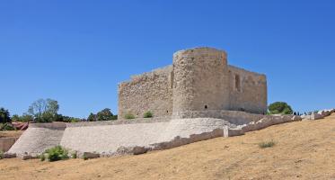 castillo_de_la_alameda_madrid_05.jpg