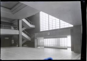 escaleras_de_la_facultad_de_filosofia_y_letras._1940-1950._fotografo_castellanos.jpg