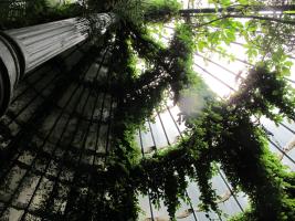 jardin_botanico_1.jpg jardin_botanico_1.jpg