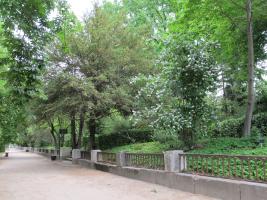 jardin_botanico_4.jpg