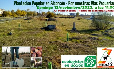 plantacion_alcorcon.jpeg
