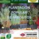plantacion_meaques.jpg